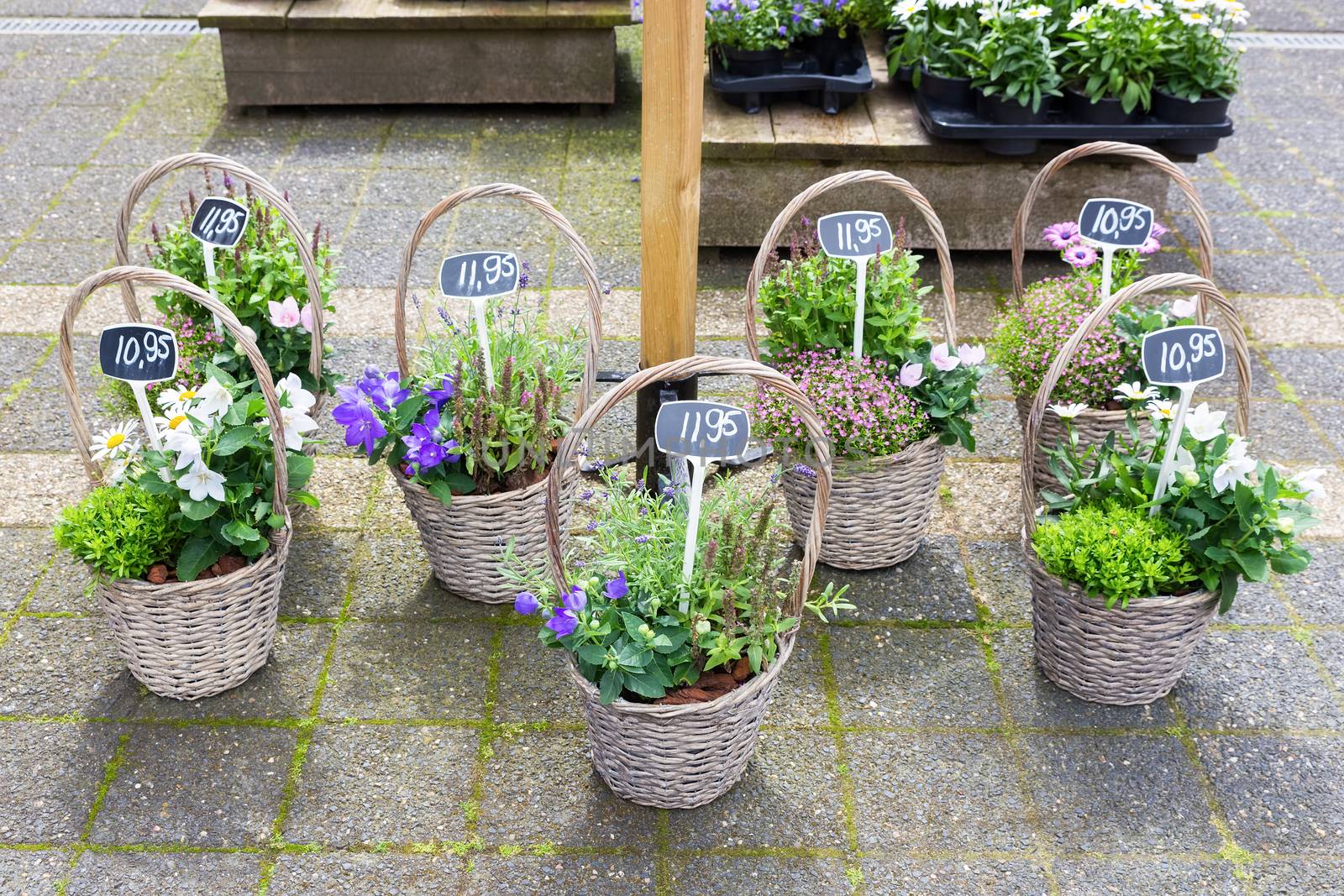 Various reed baskets with flowering plants on ground