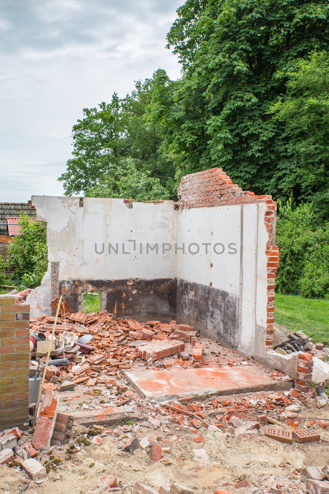 Walls and bricks of demolished house with trees