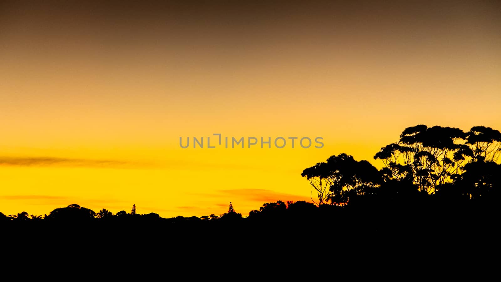 Just Perfect Almost Yellow - Fiery colorful sunset.