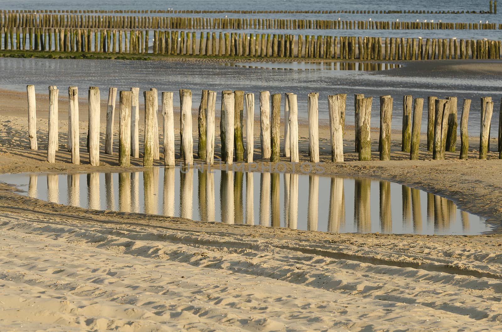 Rows groynes on the beach
 by Tofotografie