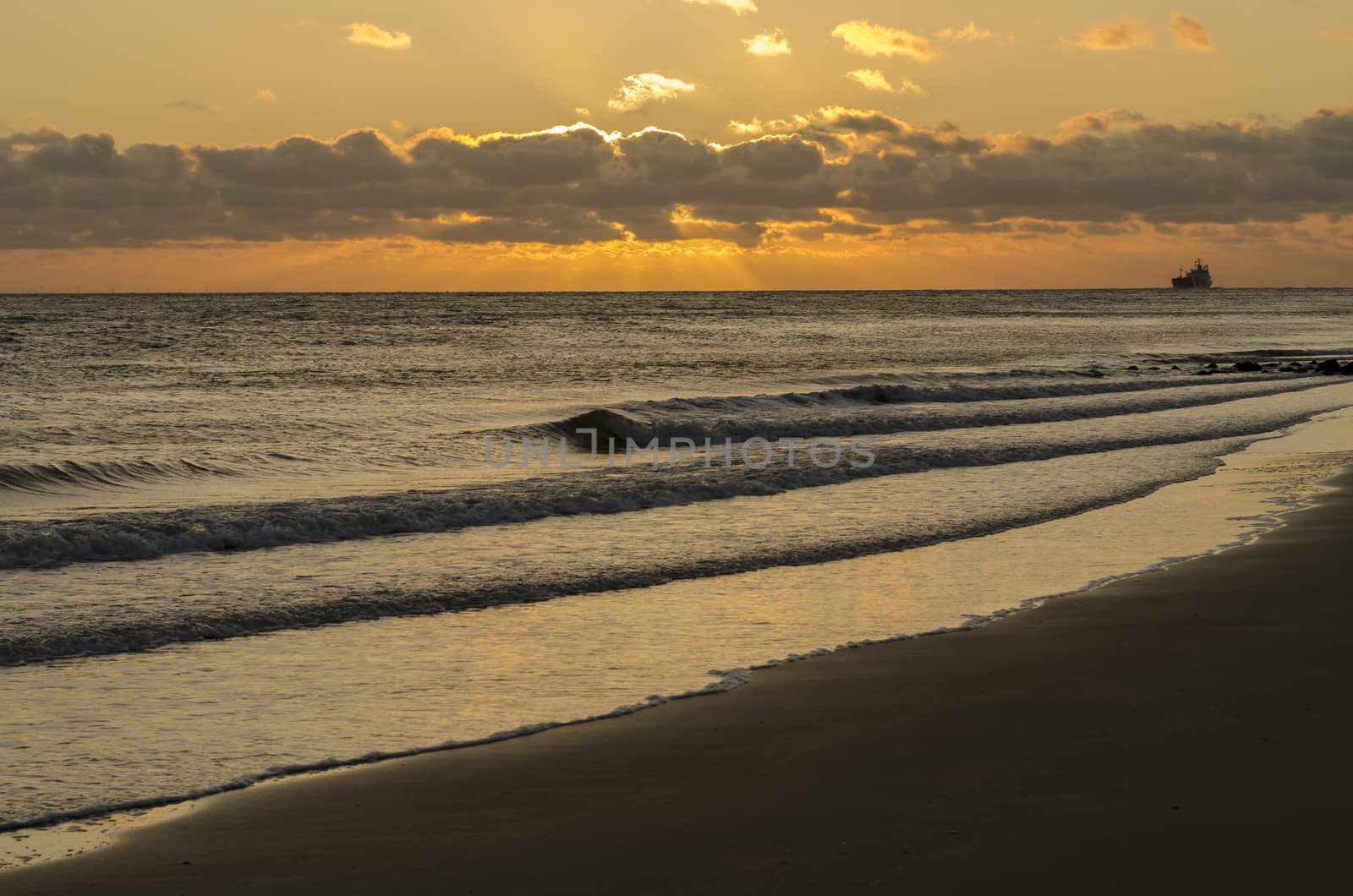 Sea-going vessel near the coast of Zoutelande in Netherlands at sunset
