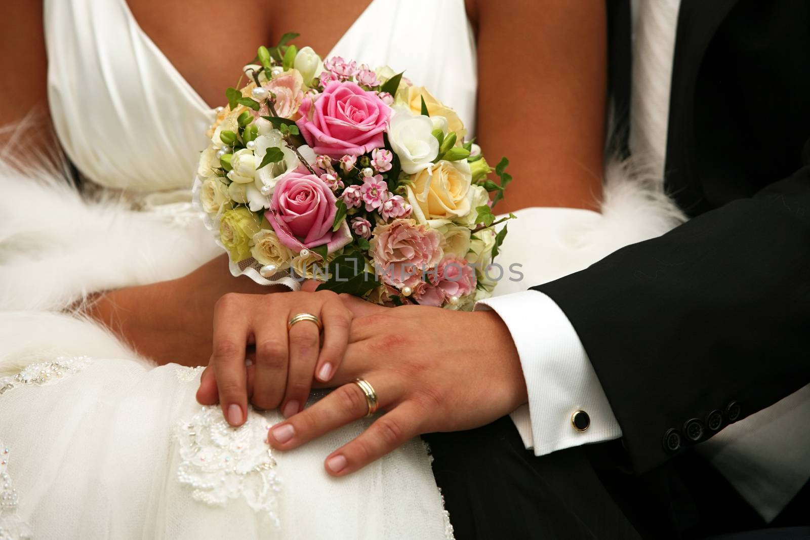 Hand of the groom and the bride with wedding rings