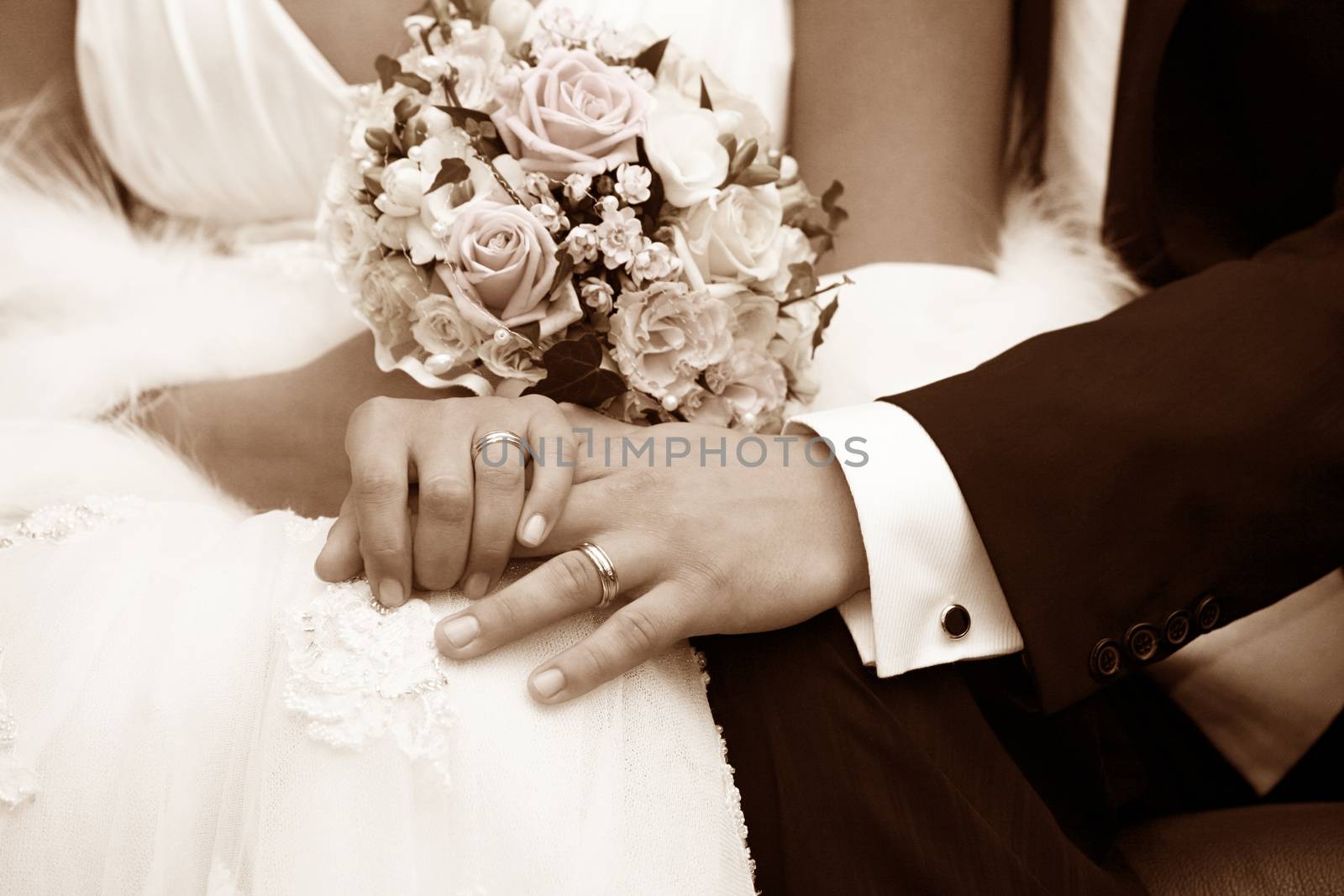 Hand of the groom and the bride with wedding rings