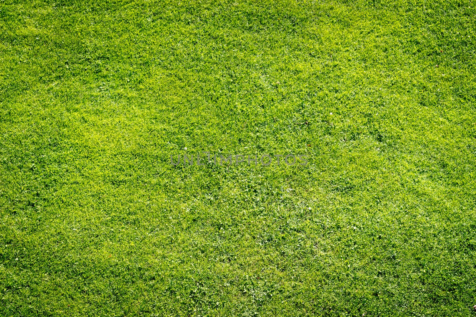 Green grass background, texture, pattern. Perfect as football, baseball field etc, Very high resolution.