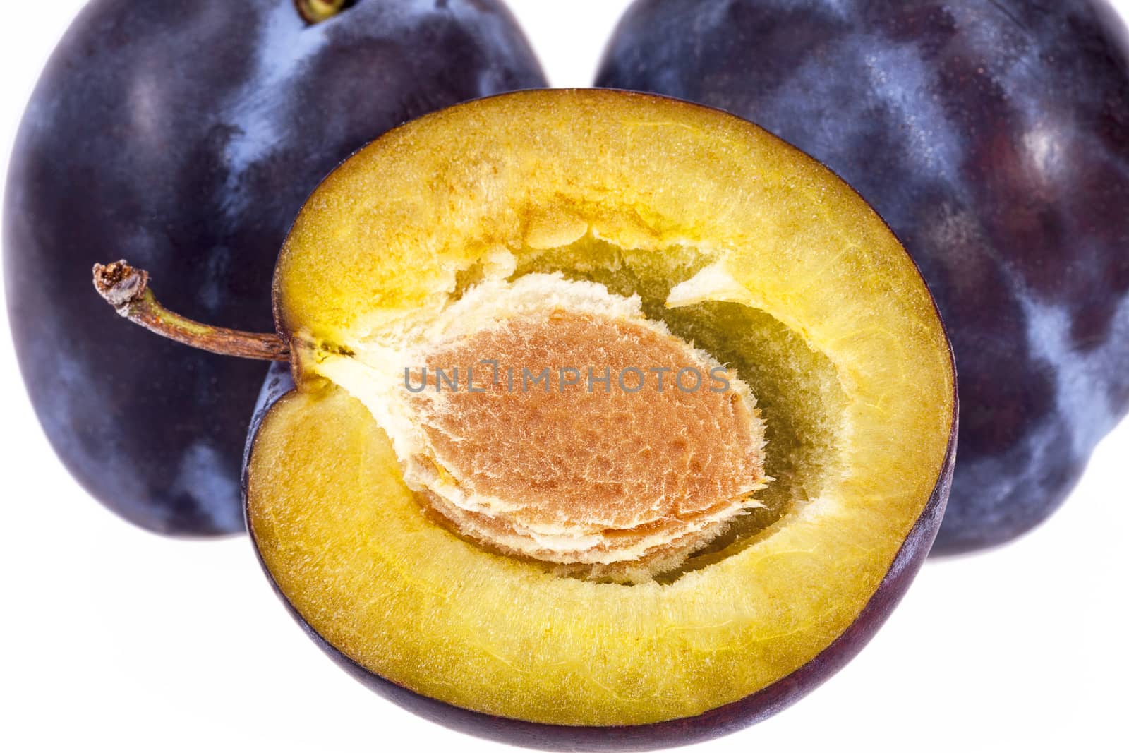 Some fruits of plum  on white background, close up