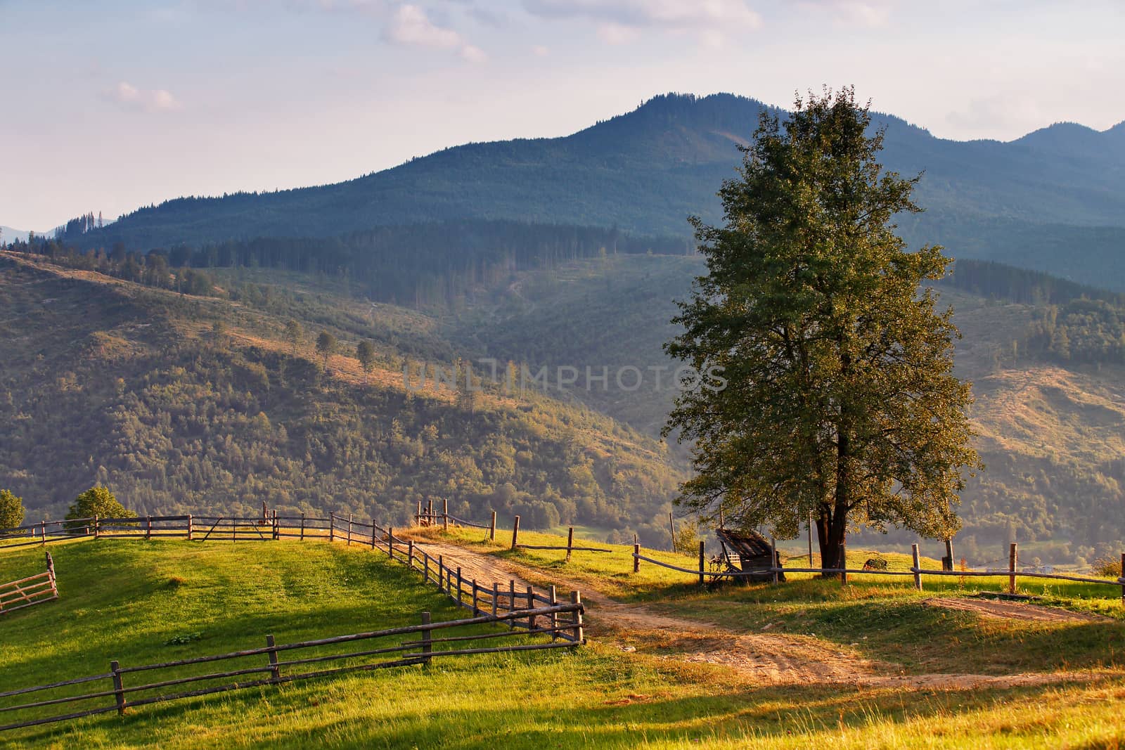 September rural scene in Carpathian mountains. Authentic village and fence 