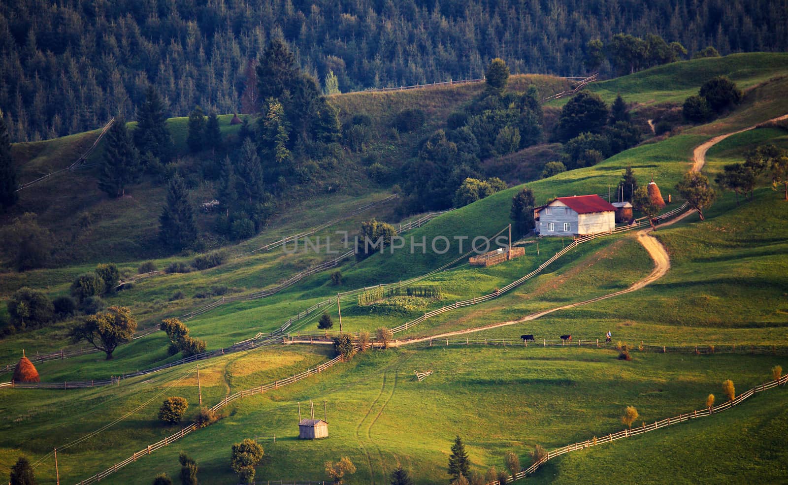 September rural scene in mountains. Authentic village and fence by weise_maxim