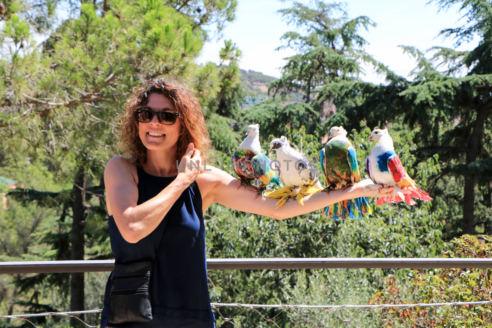 Spain. Barcelona. Beautiful colored pigeons in the park. by VadAnto1979