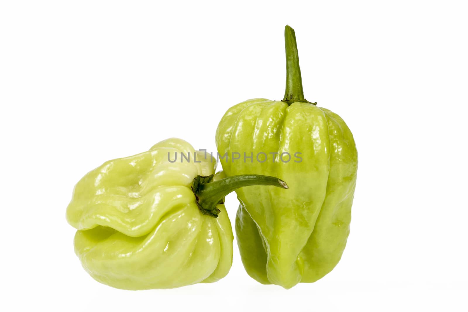 Vegetable of small  green chili pepper habanero on white background by mychadre77