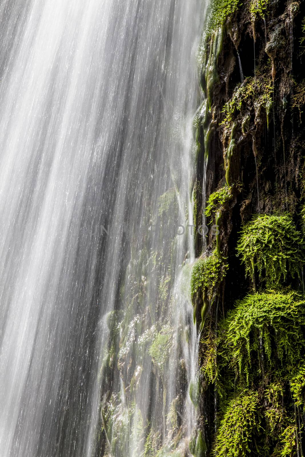 fresh green waterfall walpaper by vilevi