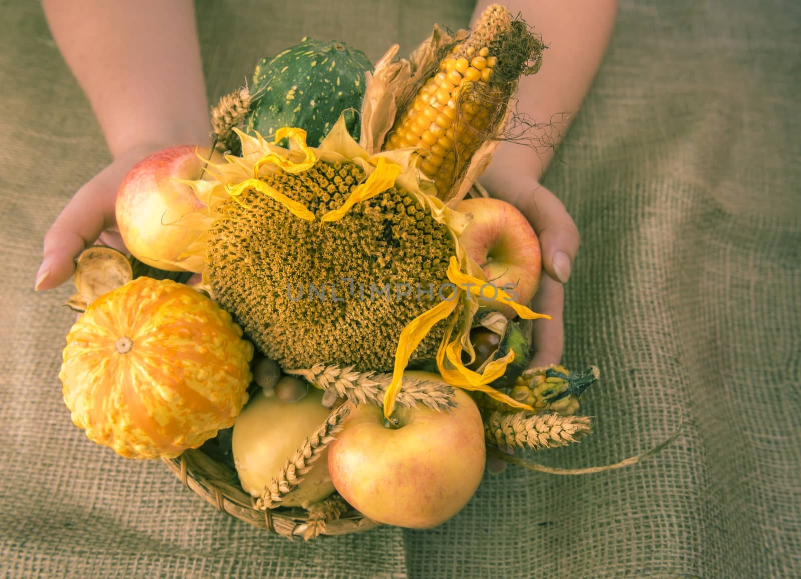 Woman holding a round wicker basket full with autumn products, such as pumpkins, sunflower, corn, apples, grain and more