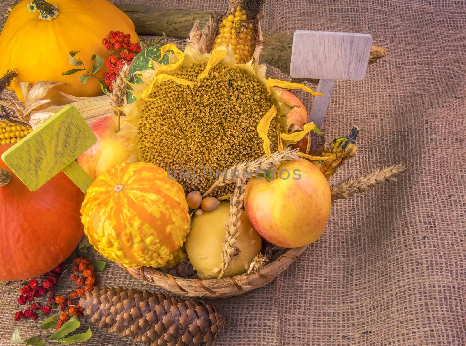 Autumn image with the harvest products from the field and forest arranged in a wicker basket, on a burlap, with two blank placards.