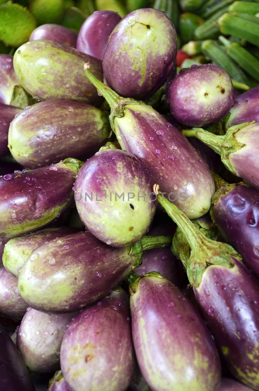 Raw ripe Eggplant display at Vegetable Stall of Local Market at Little India, Singapore