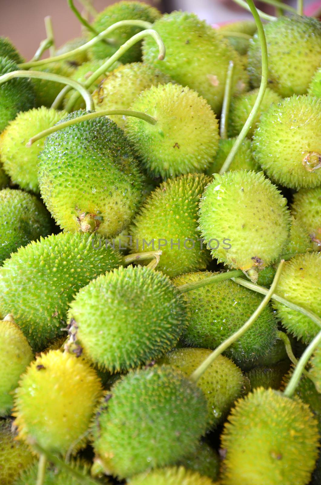 Raw spiny gourd on display at Vegetable Stall of Local Market at Little India, Singapore