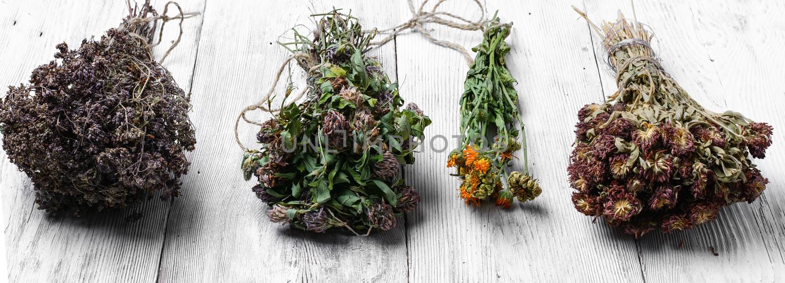 Dried healing plants on wooden background for recipes