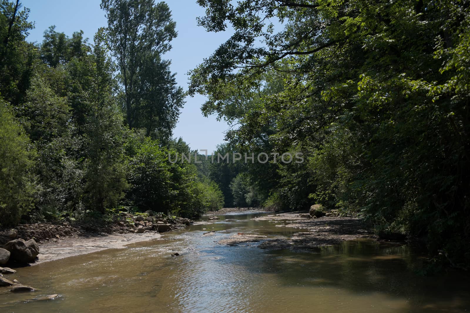 River deep in mountain forest. Nature composition. Mountain river flowing through the green forest

