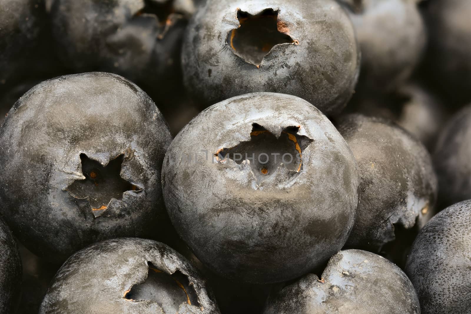 close up of fresh ripe blueberries fruit background