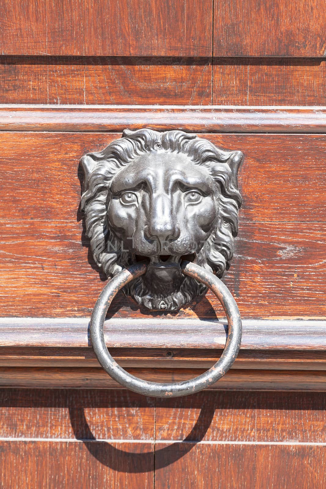 Old door knocker with lion head, close up