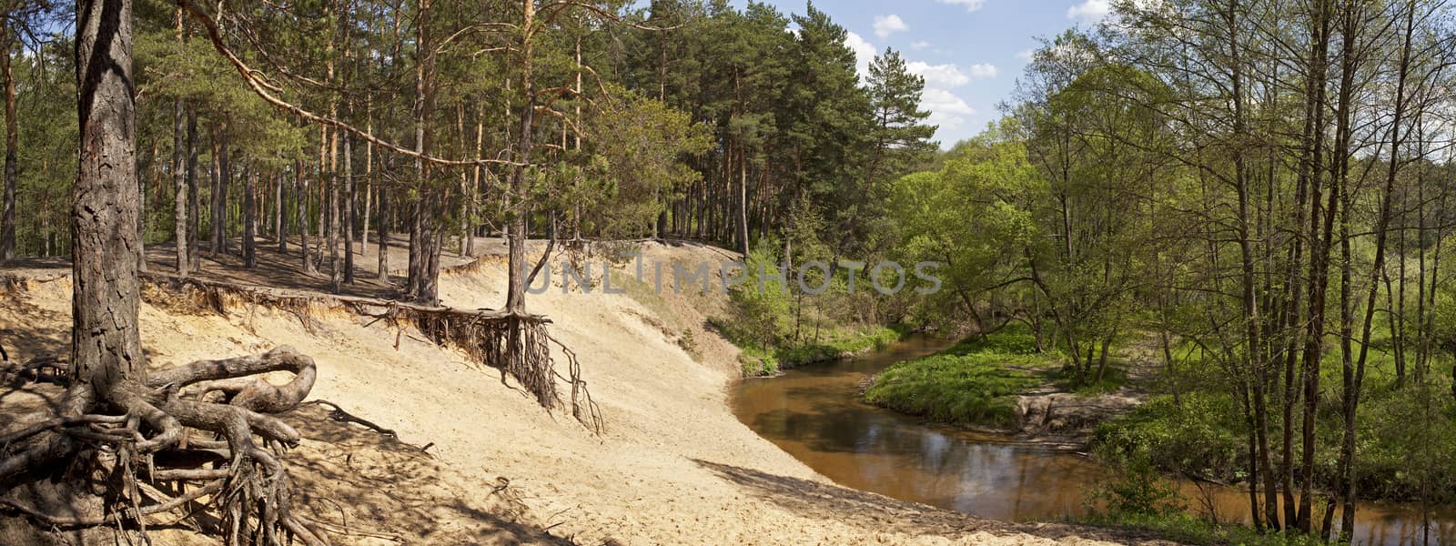 Panorama forest river. by sergey_pankin