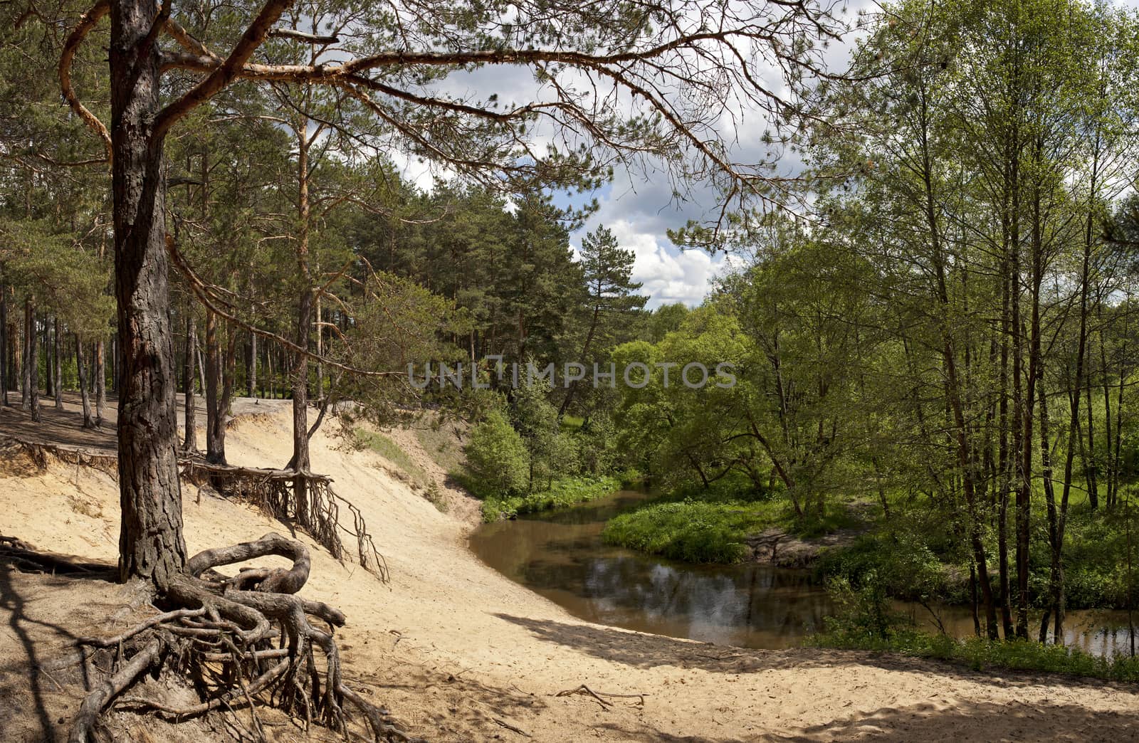 Panorama forest river. by sergey_pankin