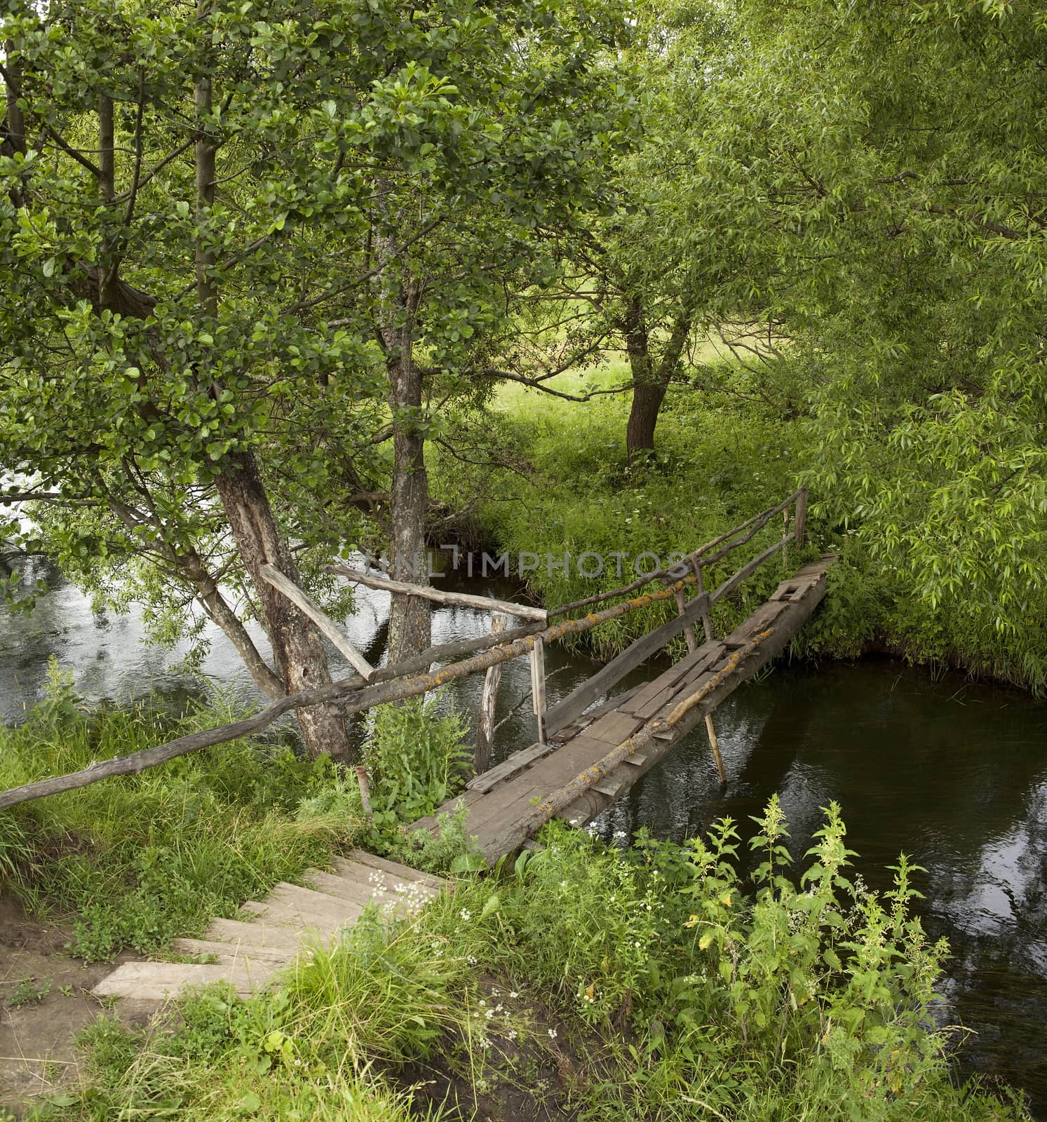 Shaky old bridge over a small river forest.