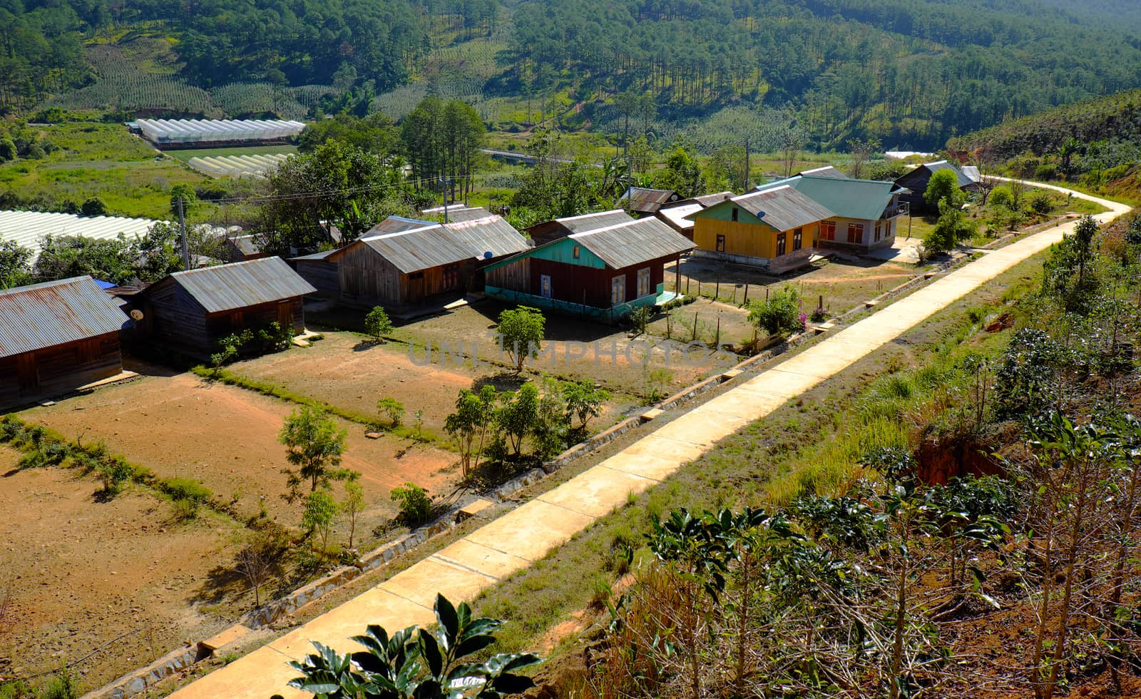 DA LAT, VIET NAM- DEC 30: Amazing scene at Dalat countryside, group of wooden house among agriculture field, housing for settle of poor Vietnamese, landscape of poverty residence, Vietnam, Dec 30,2015