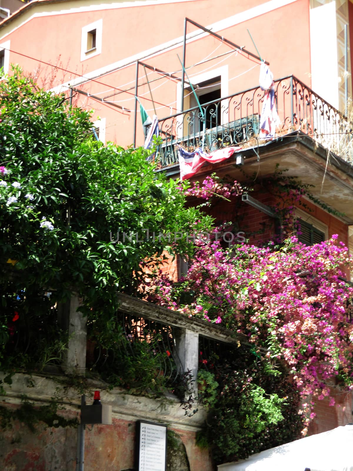 alleys and houses of Monterosso by the sea, the bay of the 5 lands, Liguria, Italy