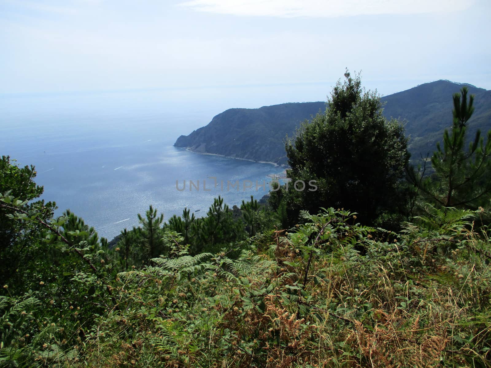 top view of the gulf of 5 Terre, Liguria, Italy