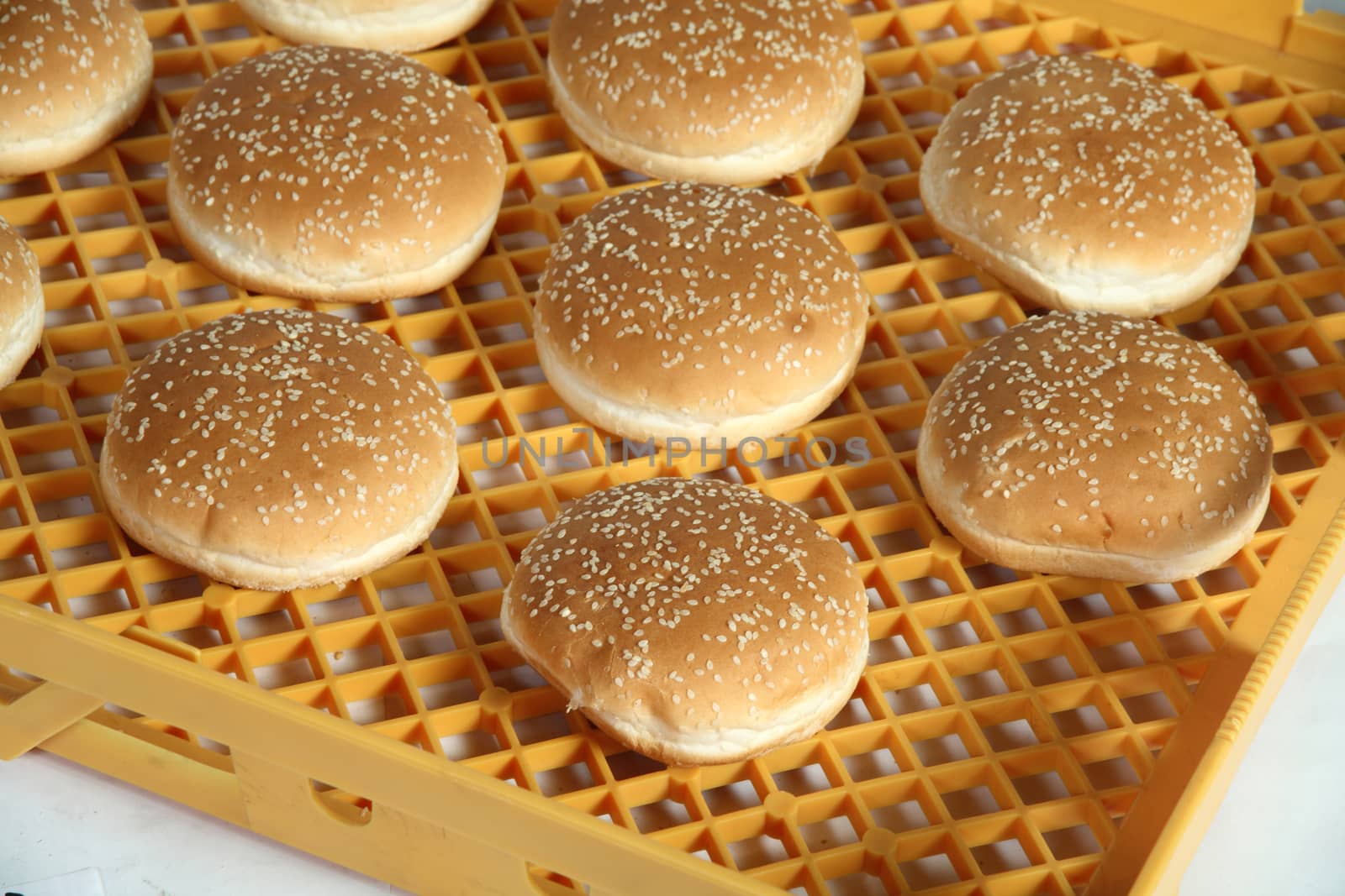 bread in plastic crate for transport and food storage