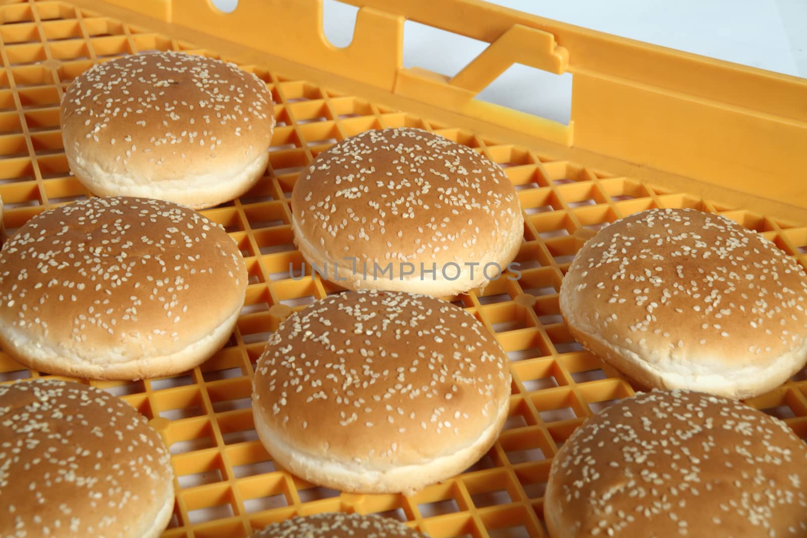 bread in plastic crate for transport and food storage