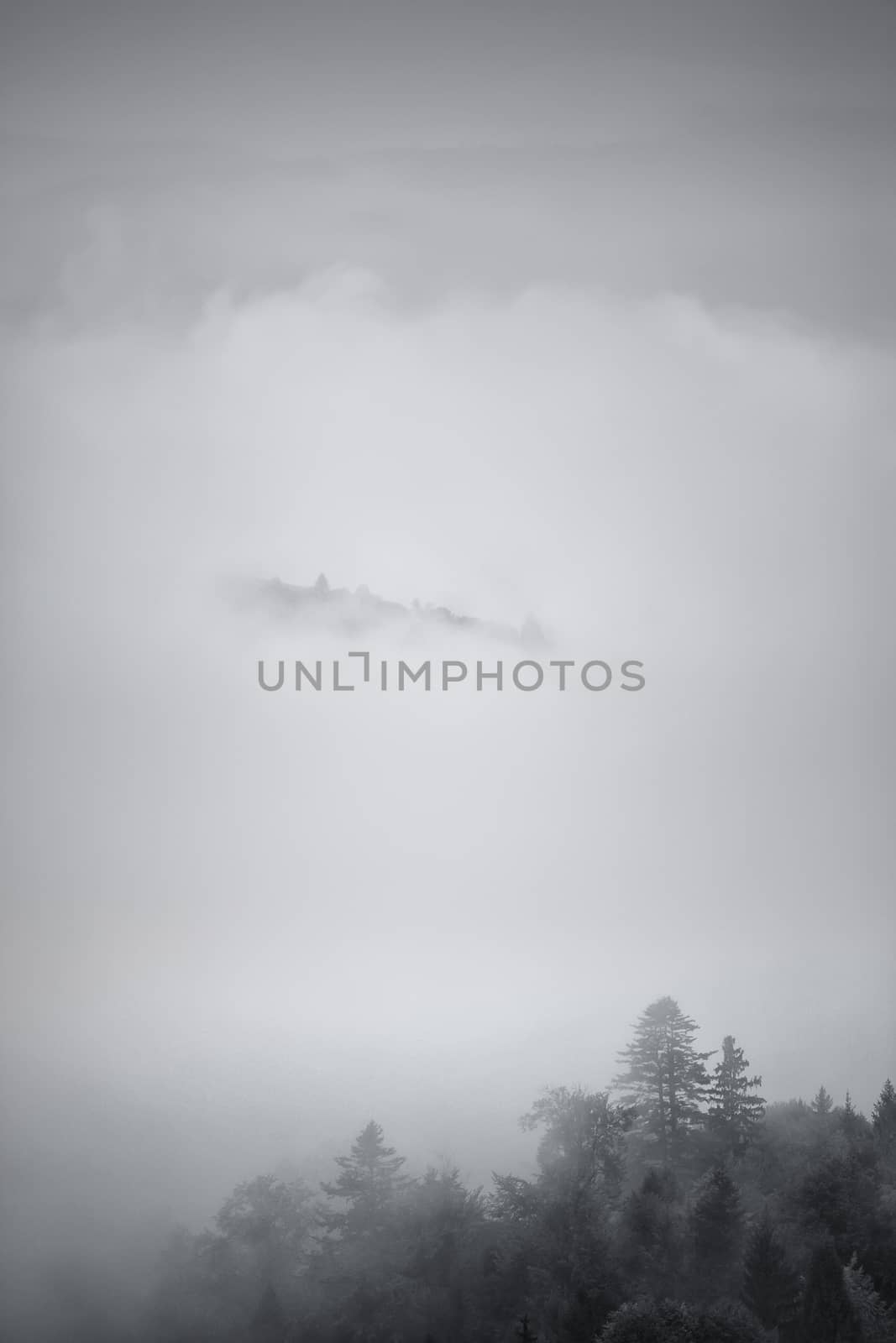 Autumn foggy Carpathian mountain scene. Fall rain and mist 