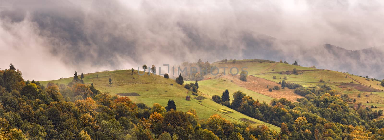 Autumn foggy Carpathian mountain panorama. Fall rain and mist 