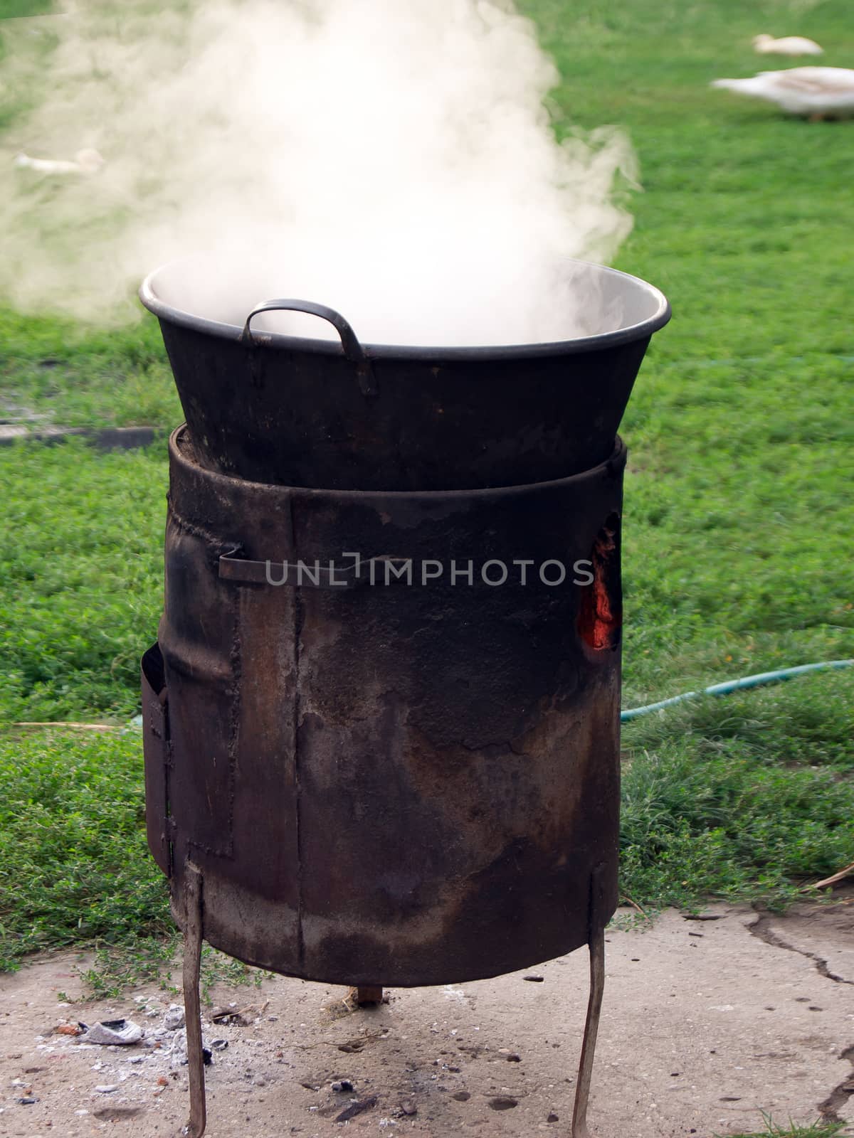 Cauldron boiling water. by dadalia