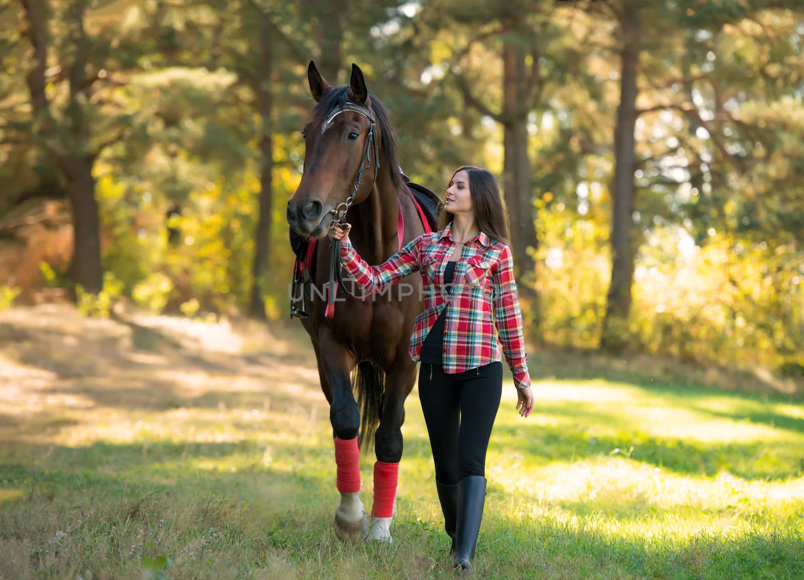 beautiful long hair young woman with a horse outdoor by Draw05