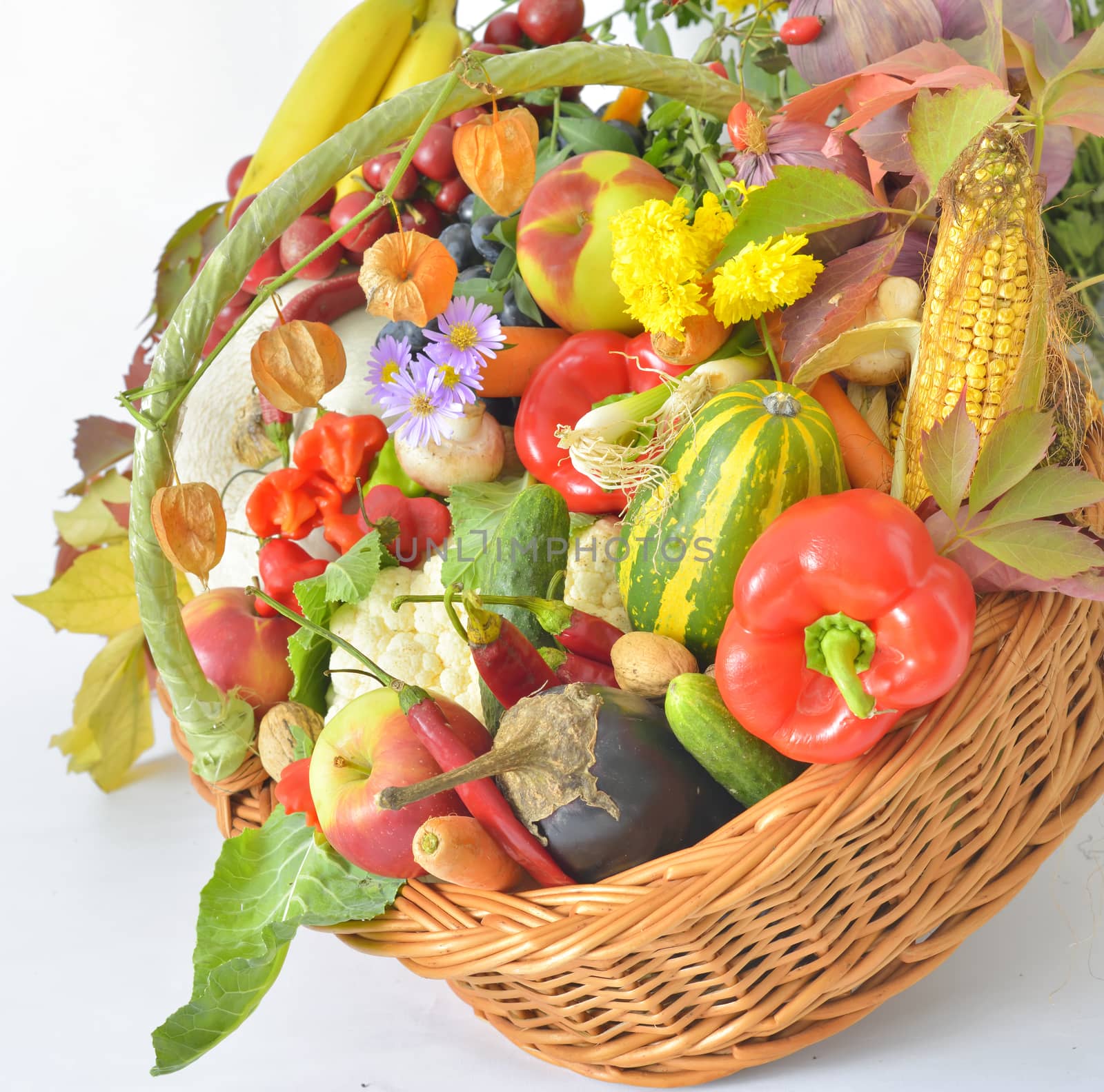 fresh healthy vegetables in basket