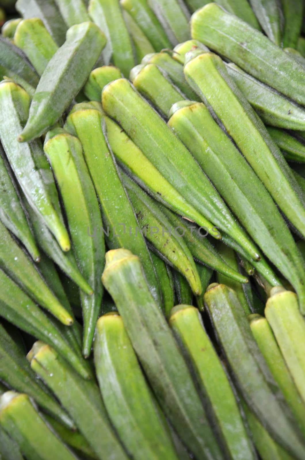 Raw green Okra by tang90246