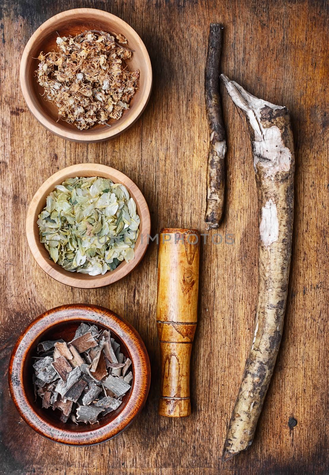 Medicinal plants,herbs in the bowl and elecampane root