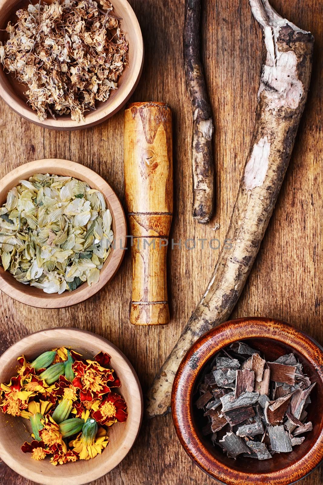 Elecampane root,marigolds,Linden and oak bark harvested for medicinal decoctions
