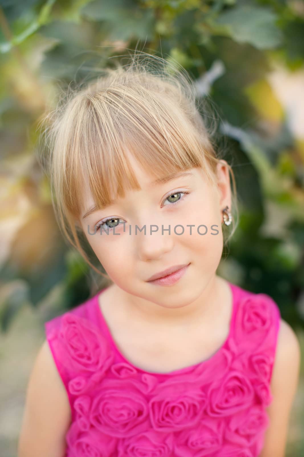 Portrait of the girl in the green bushes, close-up