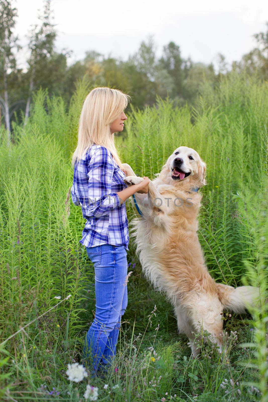 Girl walking with a dog on a green meadow