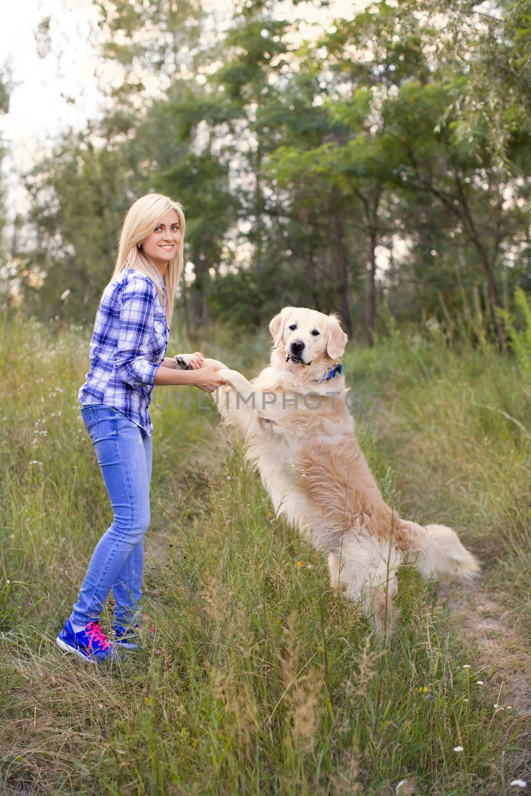 Girl walking with a dog on a green meadow
