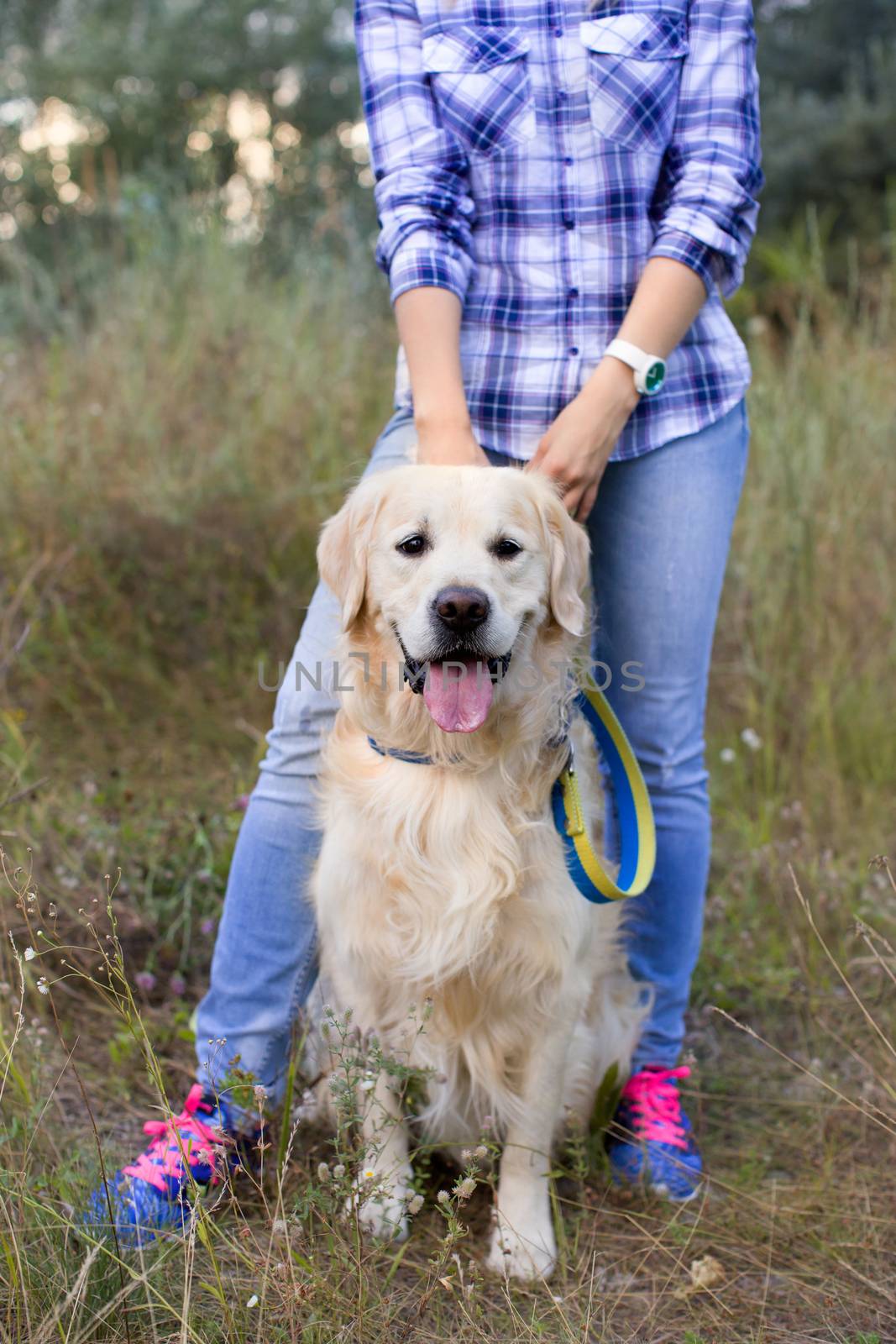 Girl walking with a dog on a green meadow