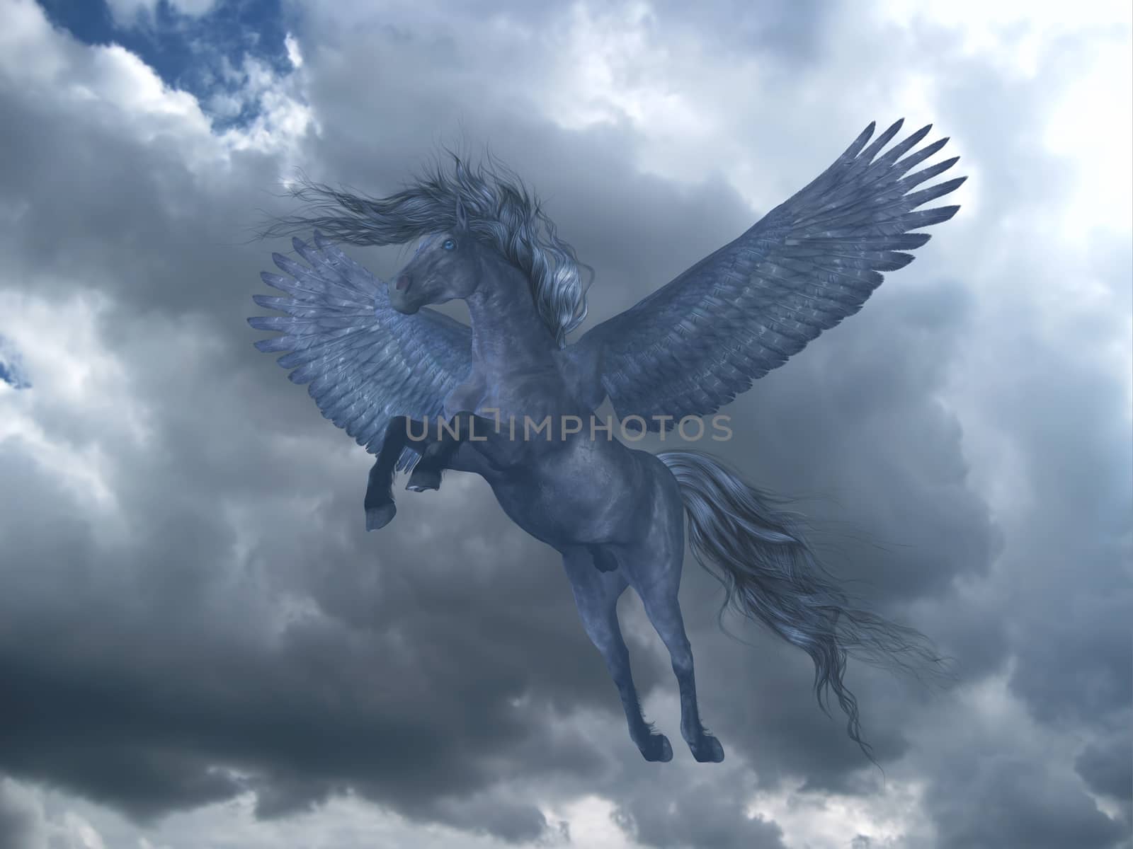 Black Pegasus in Blue Sky by Catmando