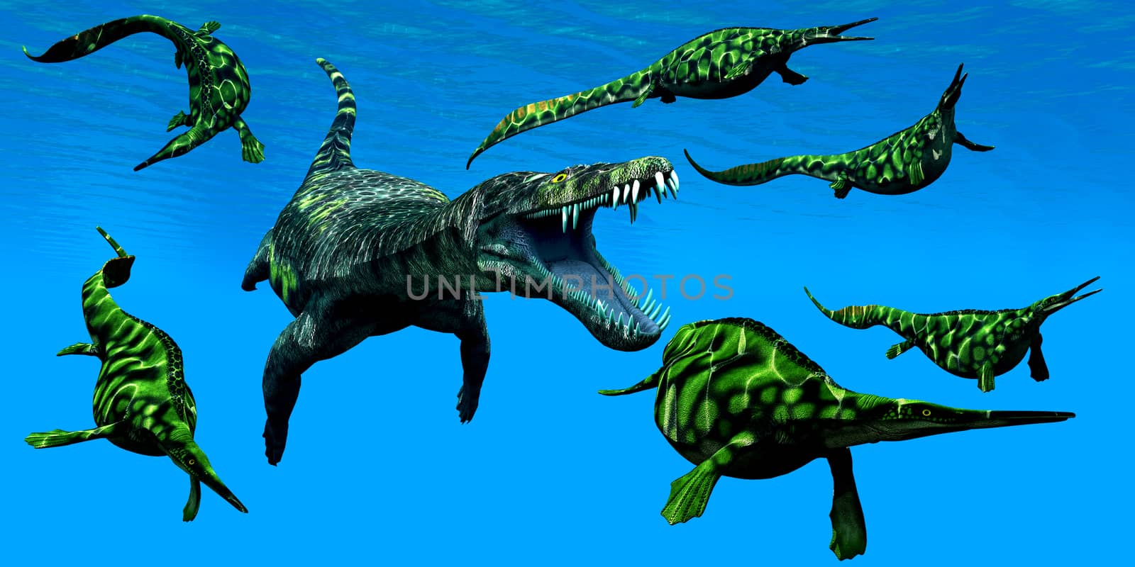 A Nothosaurus marine reptile attacks a pod of Hepehsuchus dinosaurs in a Triassic Ocean.