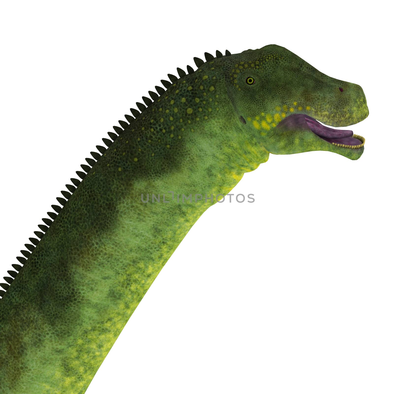 Puertasaurus Dinosaur Head by Catmando