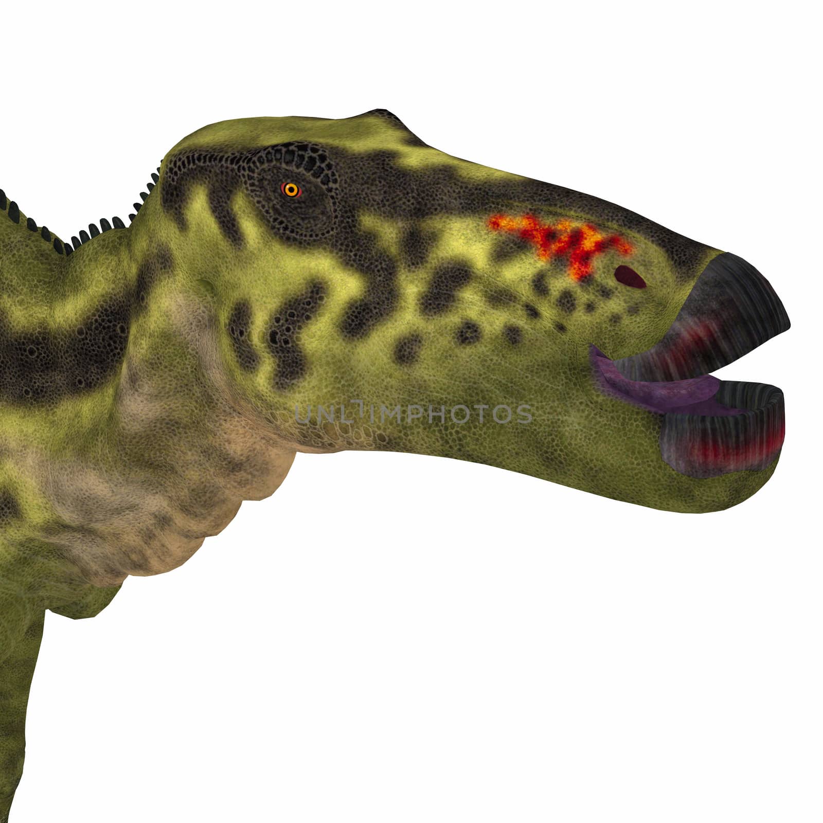 Shantungosaurus Dinosaur Head by Catmando