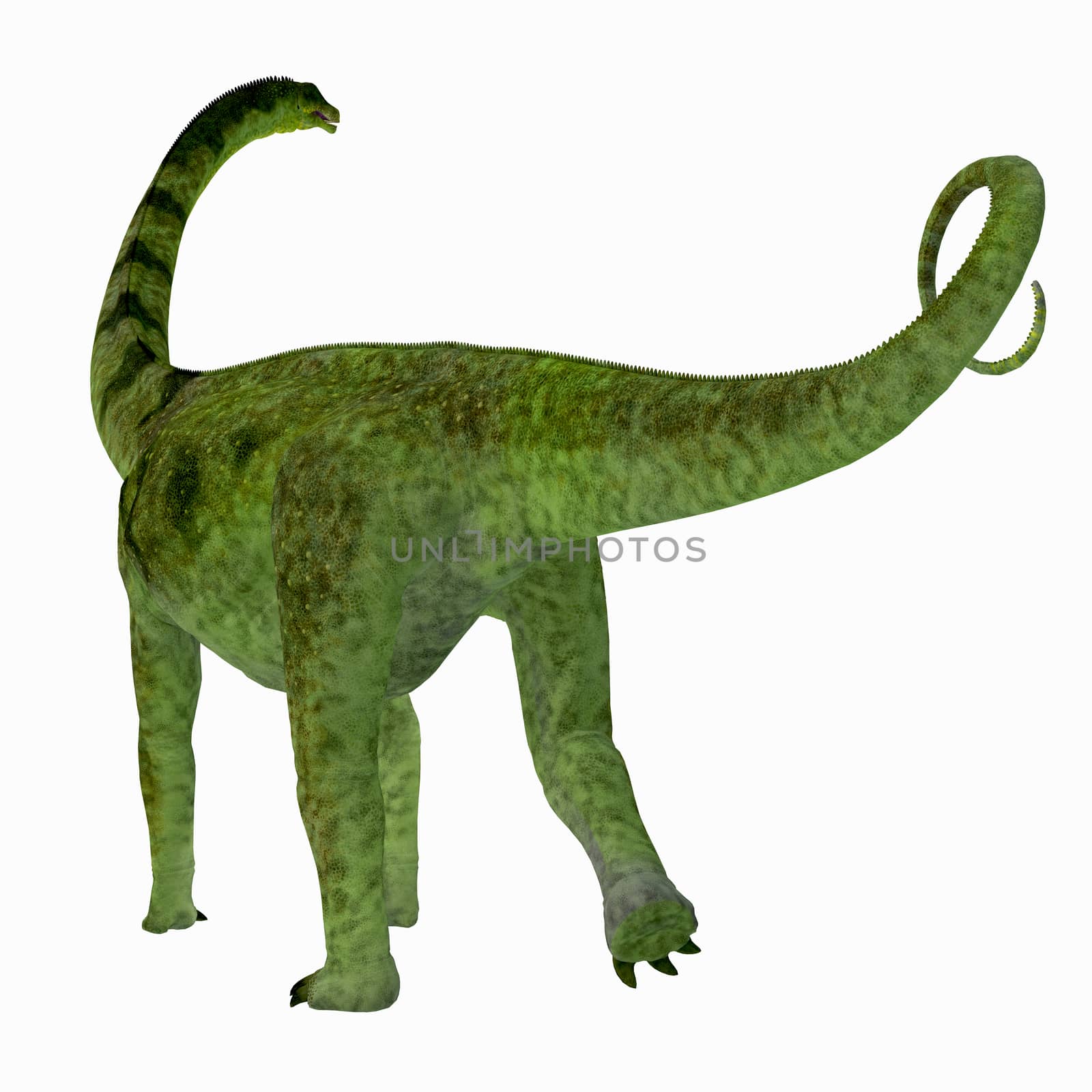 Puertasaurus was a herbivorous sauropod dinosaur that lived in Patagonia in the Cretaceous Period.