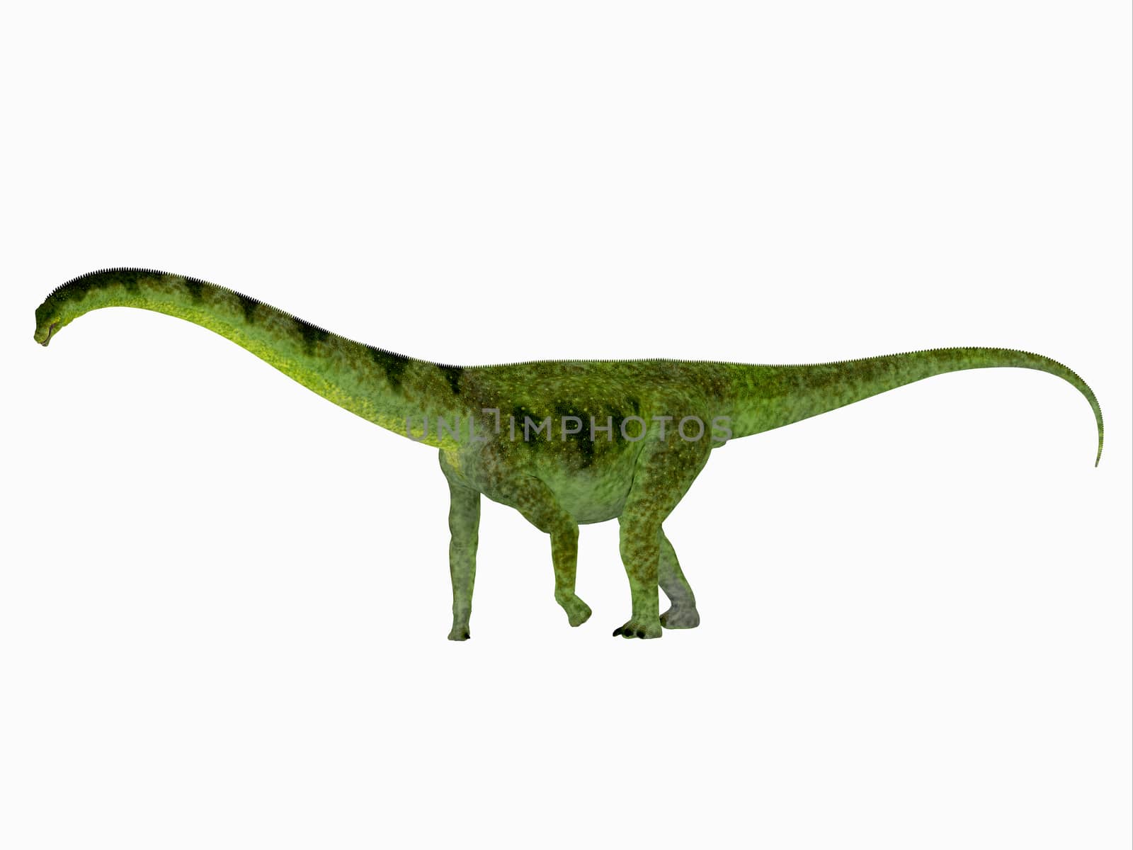 Puertasaurus Dinosaur Side View by Catmando