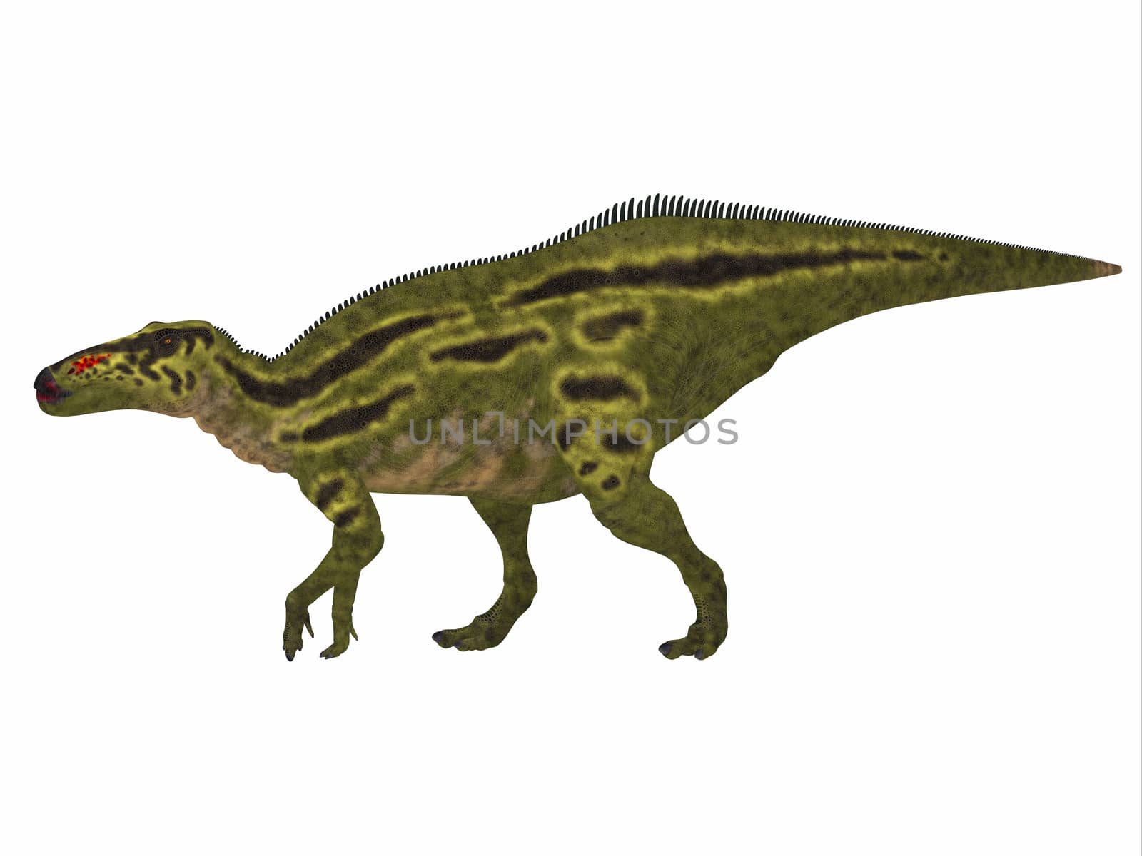 Shantungosaurus Dinosaur Side Profile by Catmando