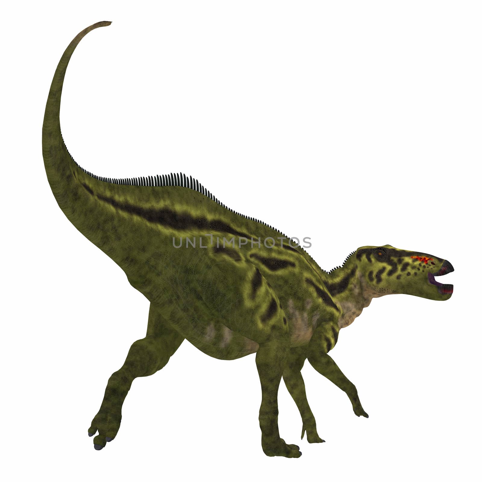 Shantungosaurus Dinosaur Tail by Catmando